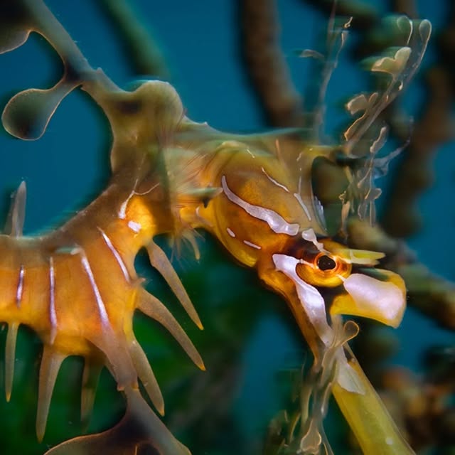 Post by huntingforparadise