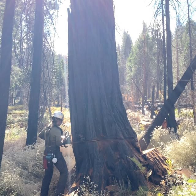 Post by urlocallumberjill