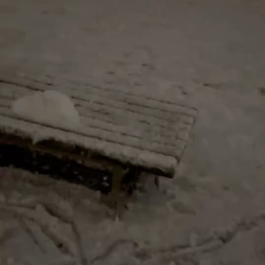 Post by dasistberlinbitch