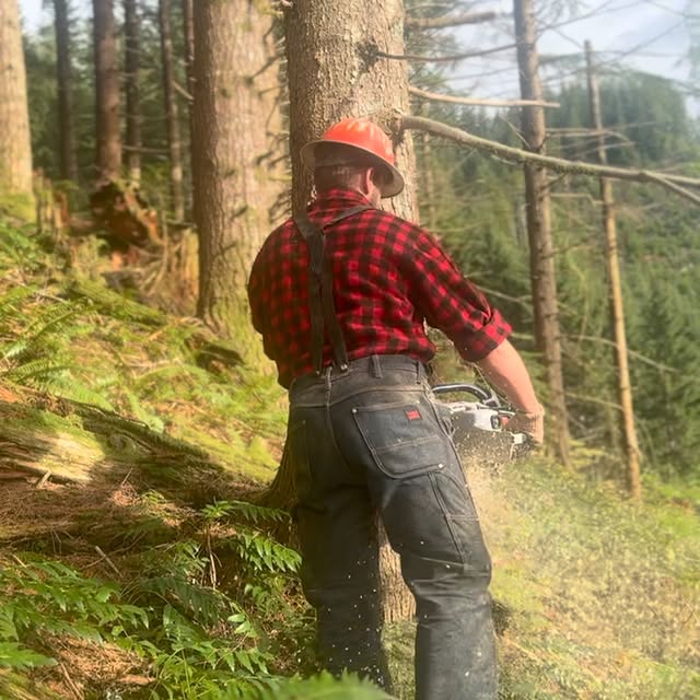 Post by thulinetimberco