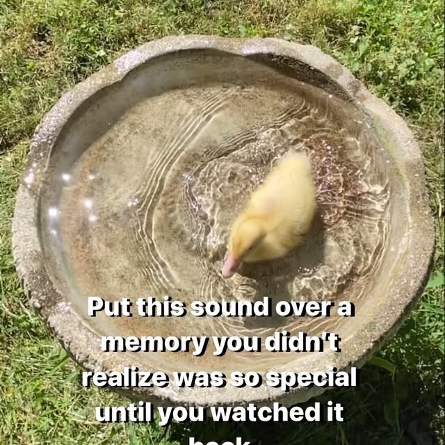 Post by justinwoodcircus