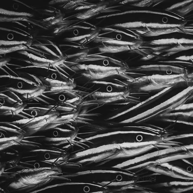 Post by floodedcamera