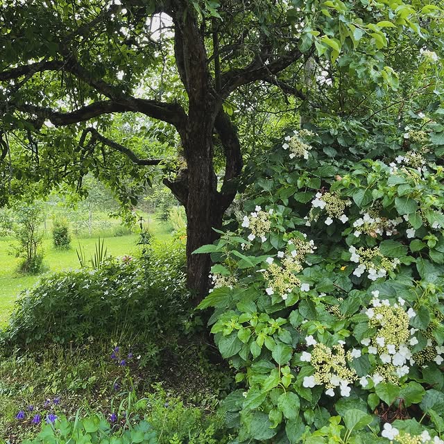 Post by koti_kiskossa