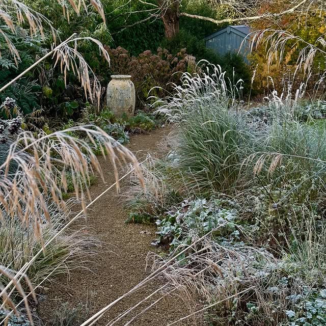 Post by acreswildgardendesign