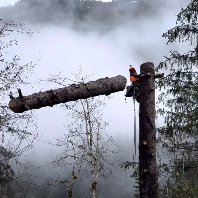 Post by benoftheforest