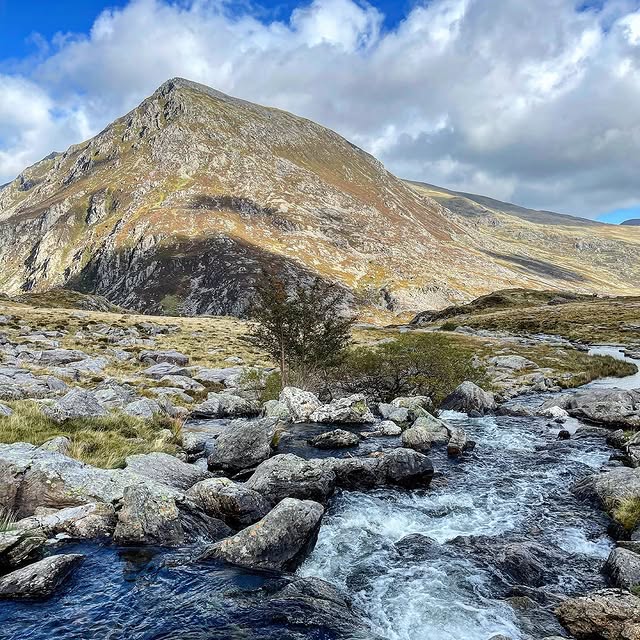 Post by vanessas.views