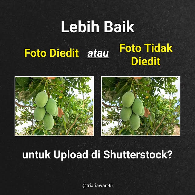 Post by triariawan95