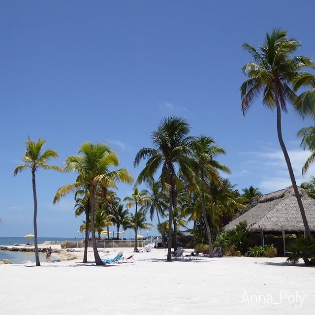 Post by anna_polyshnia