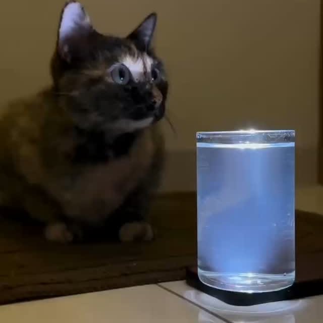 Post by kitty_mittymeow