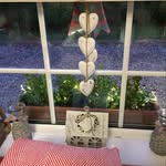 Colleen's profile picture