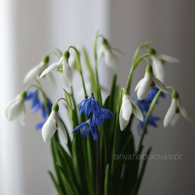 Post by tanya.haidukova.lepit