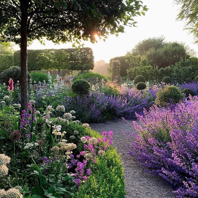 Post by garden_lover_dj