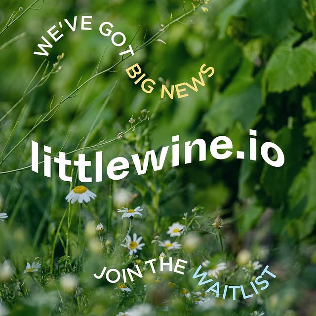 Post by littlewine.io