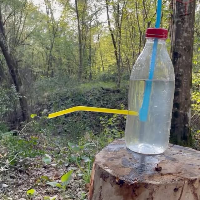 Post by dogadaki_sakal