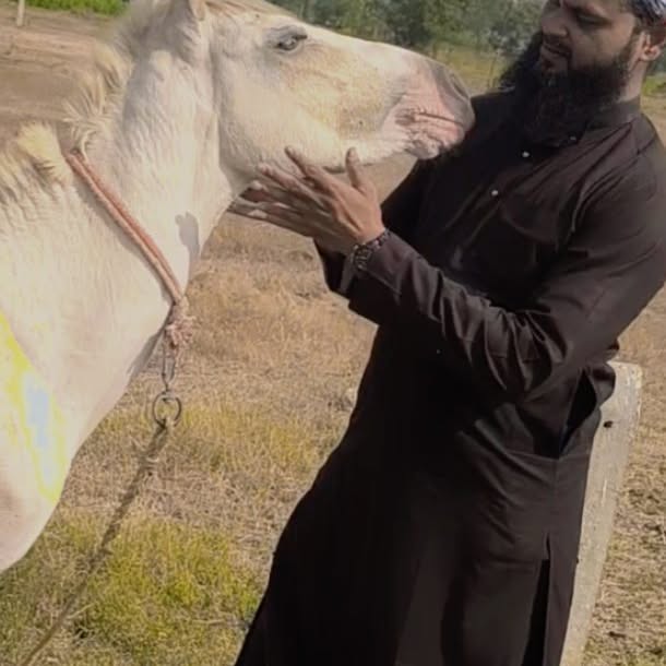 Post by trade_with_aftabsiddiqui