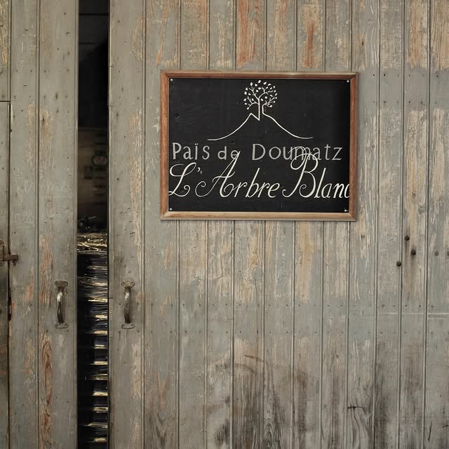 Post by thebutcherofparis