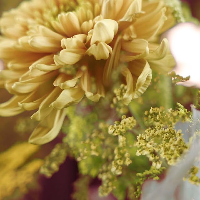 Post by hannnasofiaa