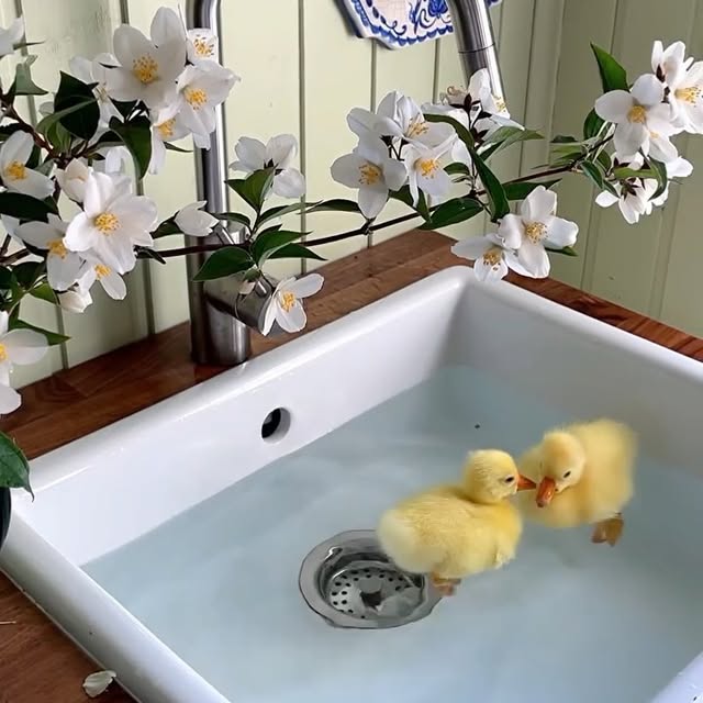 Post by bohemiandecor