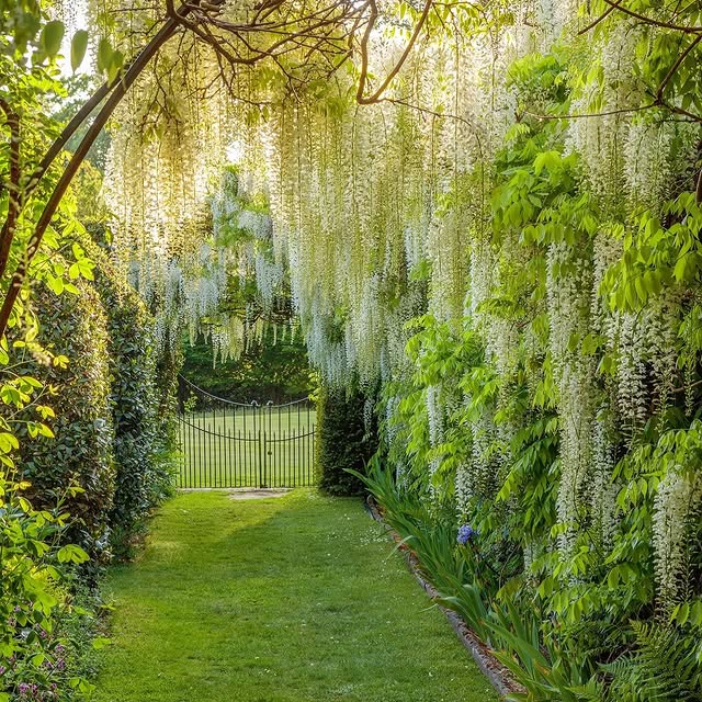 Post by edenrowegardens