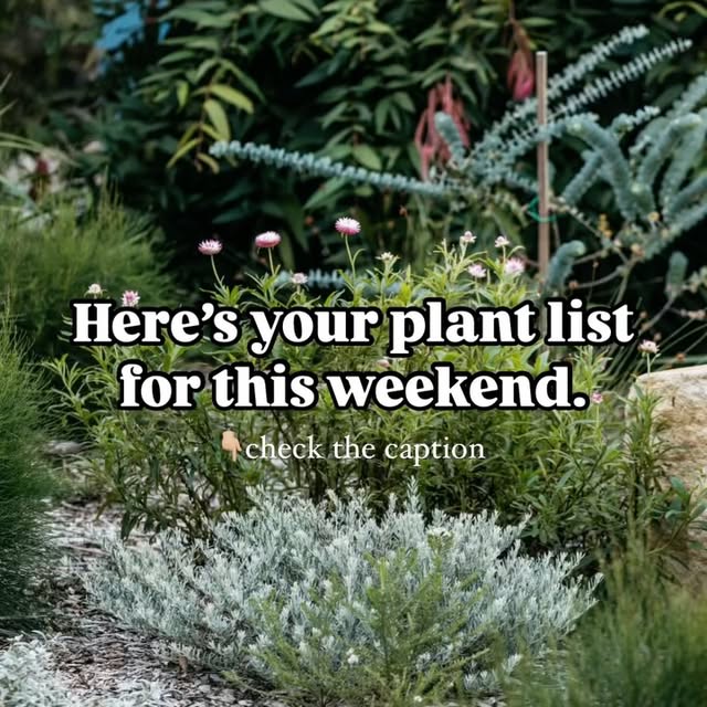 Post by guidetobettergardens