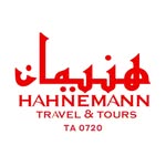 Hahnemann Travel's profile picture