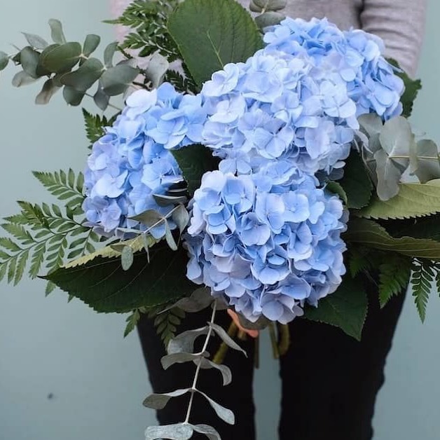 Post by flowersonly4you