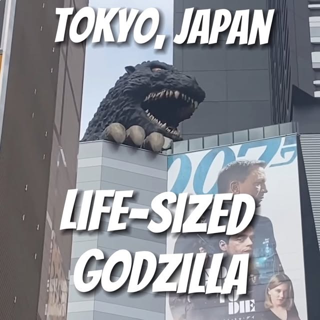 Post by japan_related