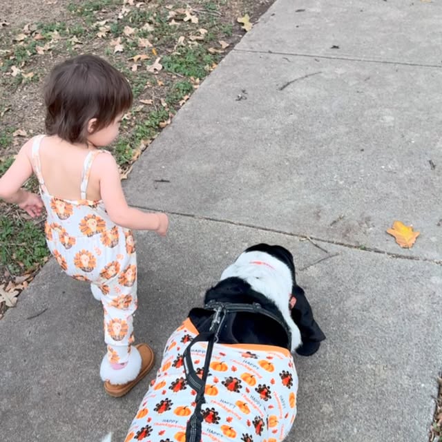 Post by sirbassetwinston