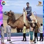 Hirata's profile picture