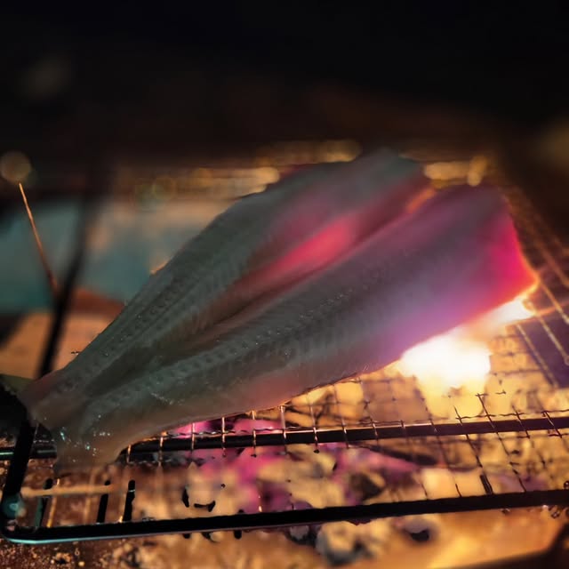 Post by shu_camp_log