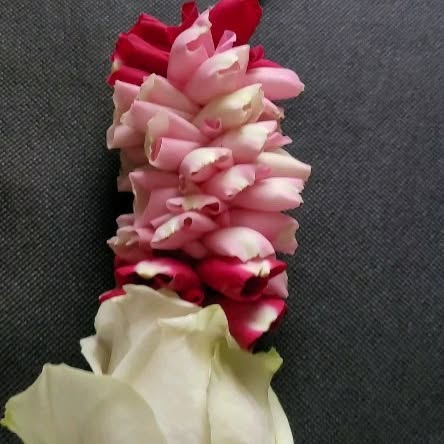 Post by rupalis_mandaps_melbourne