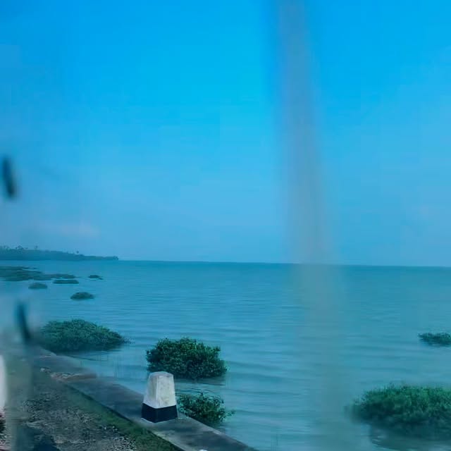 Post by samanalee.fonseka