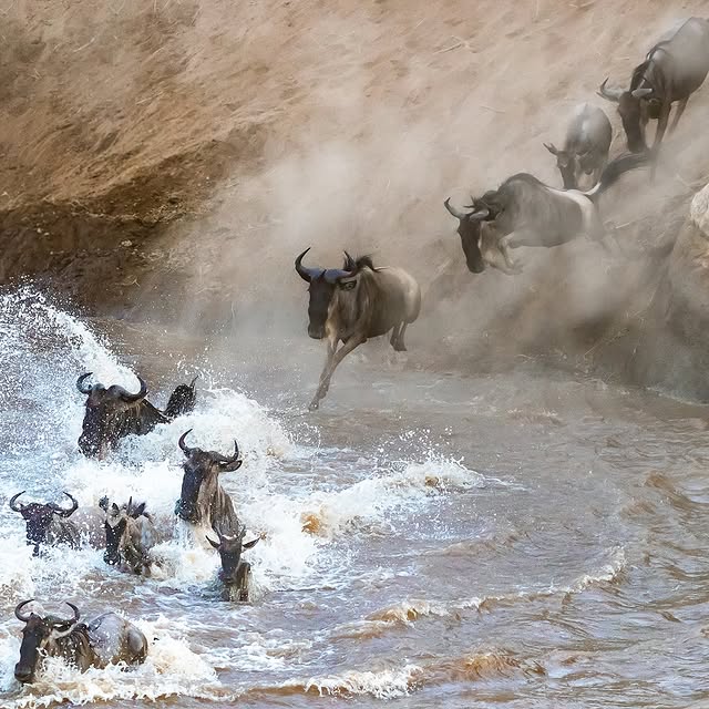 Post by tailoredjourneys