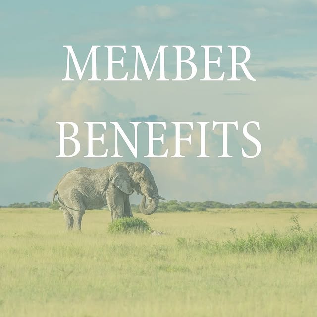 Post by _thetravelhubcollection