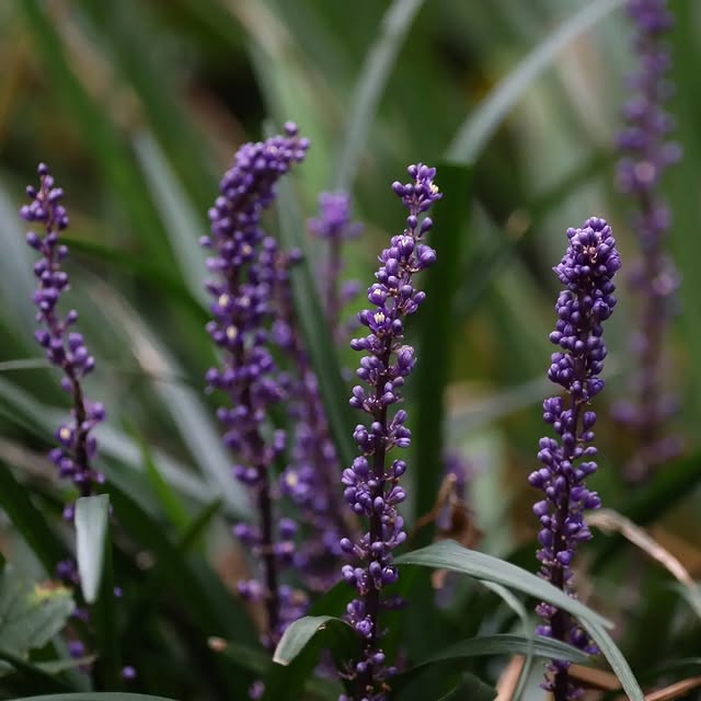 Post by basilikum_und_kaktus