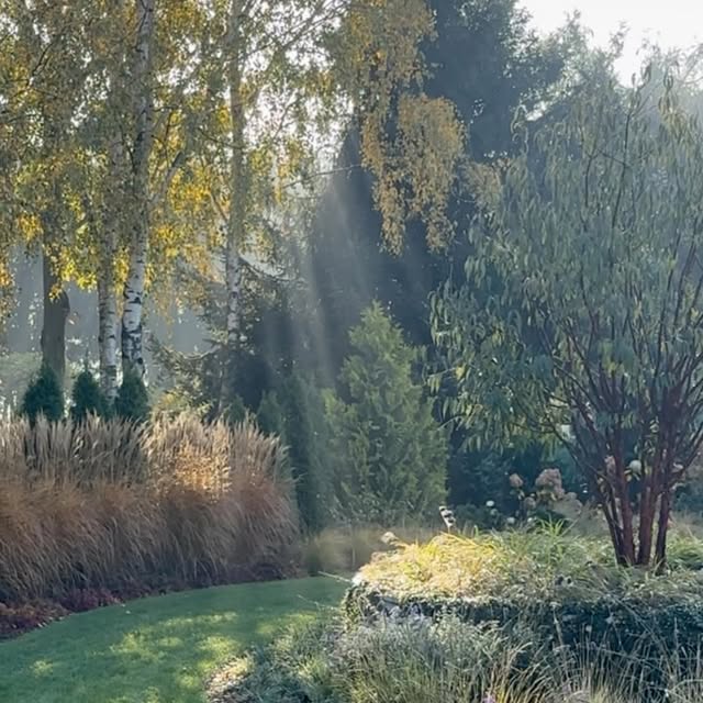 Post by garden_by_marta