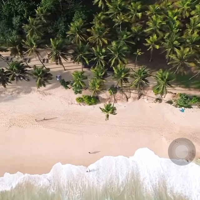 Post by hasangi_kiriarachchi_