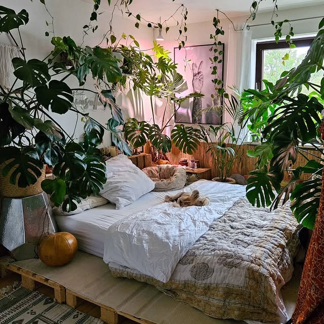 Post by peoplewithplants_official