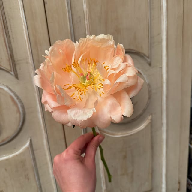 Post by theflowercottage.au