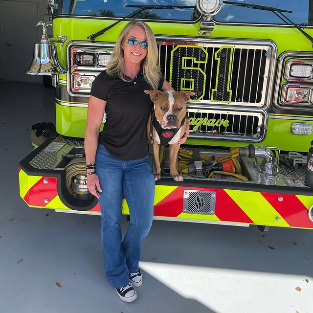 Post by julie_dudley