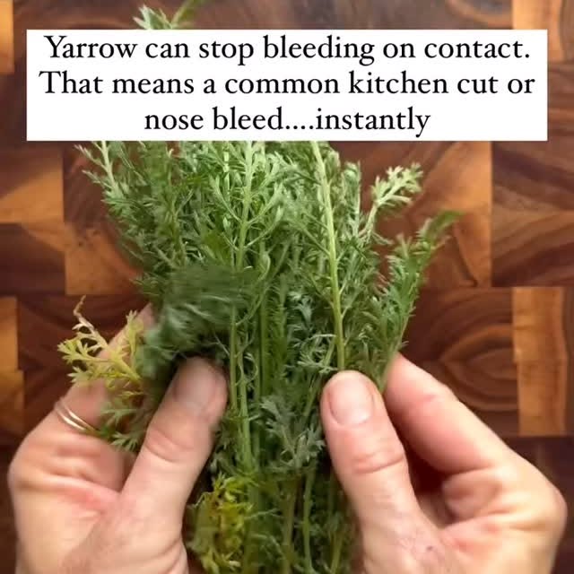 Post by plantsintoherbs