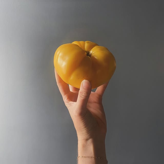 Post by hollowcatskills