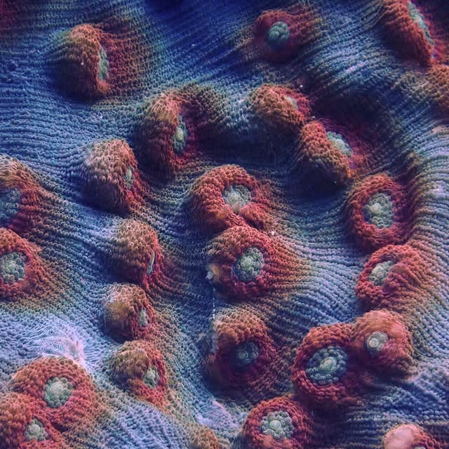 Post by scuba_junkie