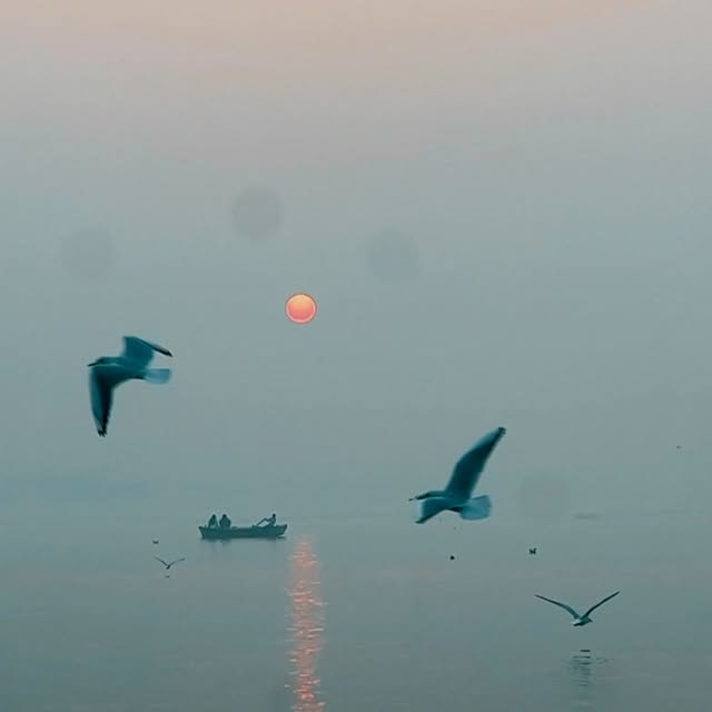 Post by nimisha_sajayan