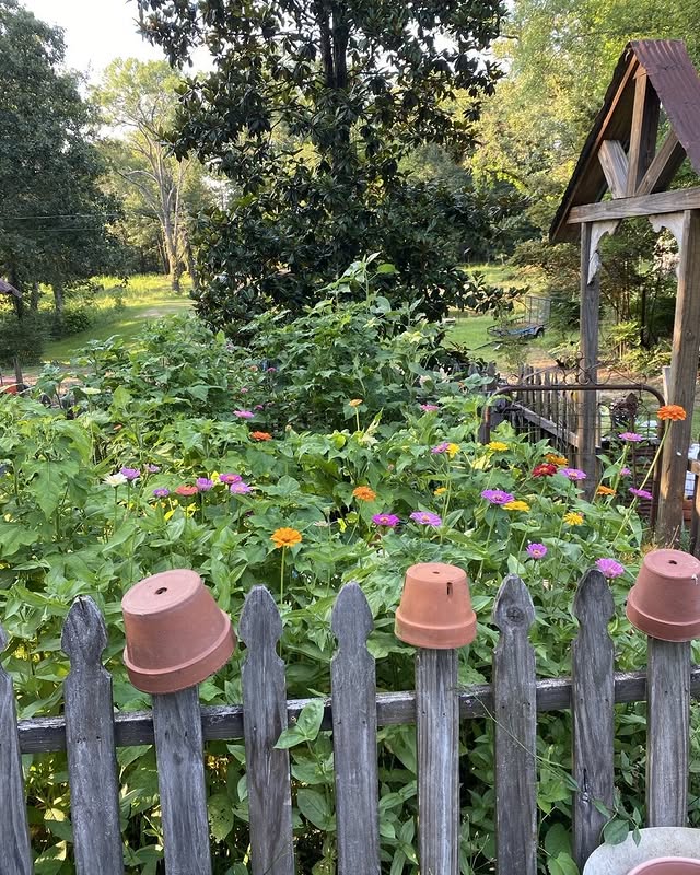 Post by bluewillowhomeandfarm