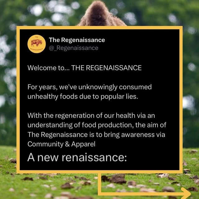 Post by theregenaissance