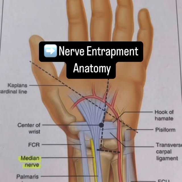 Post by medicalmassagesd