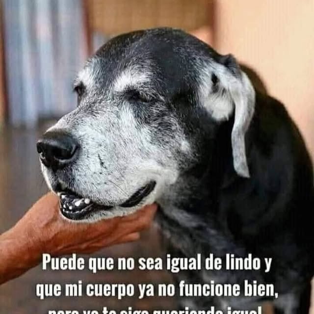 Post by mandalas_y_crecer