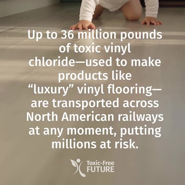 Post by toxicfreefuture