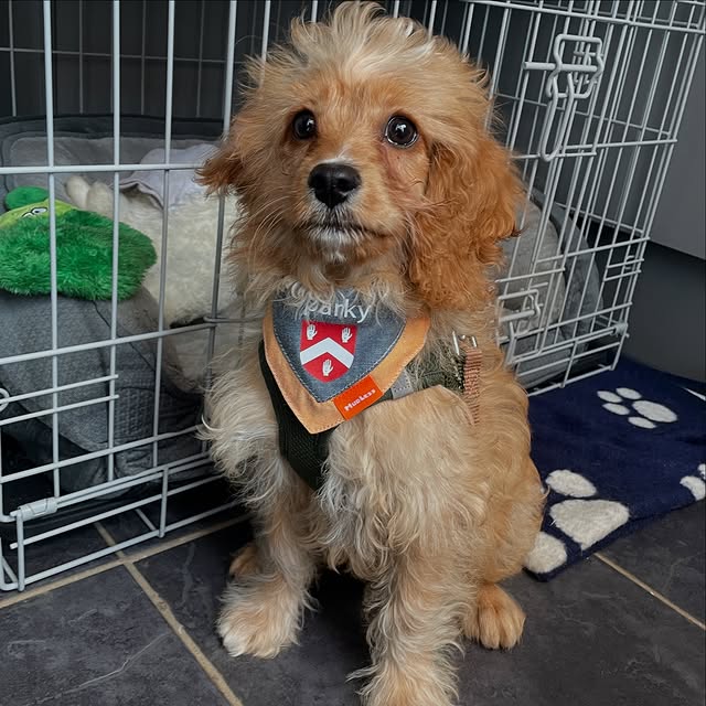 Post by byrneelectricalltd